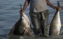Fishing in Somalia