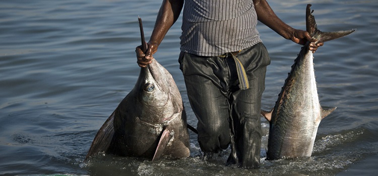 Fishing in Somalia